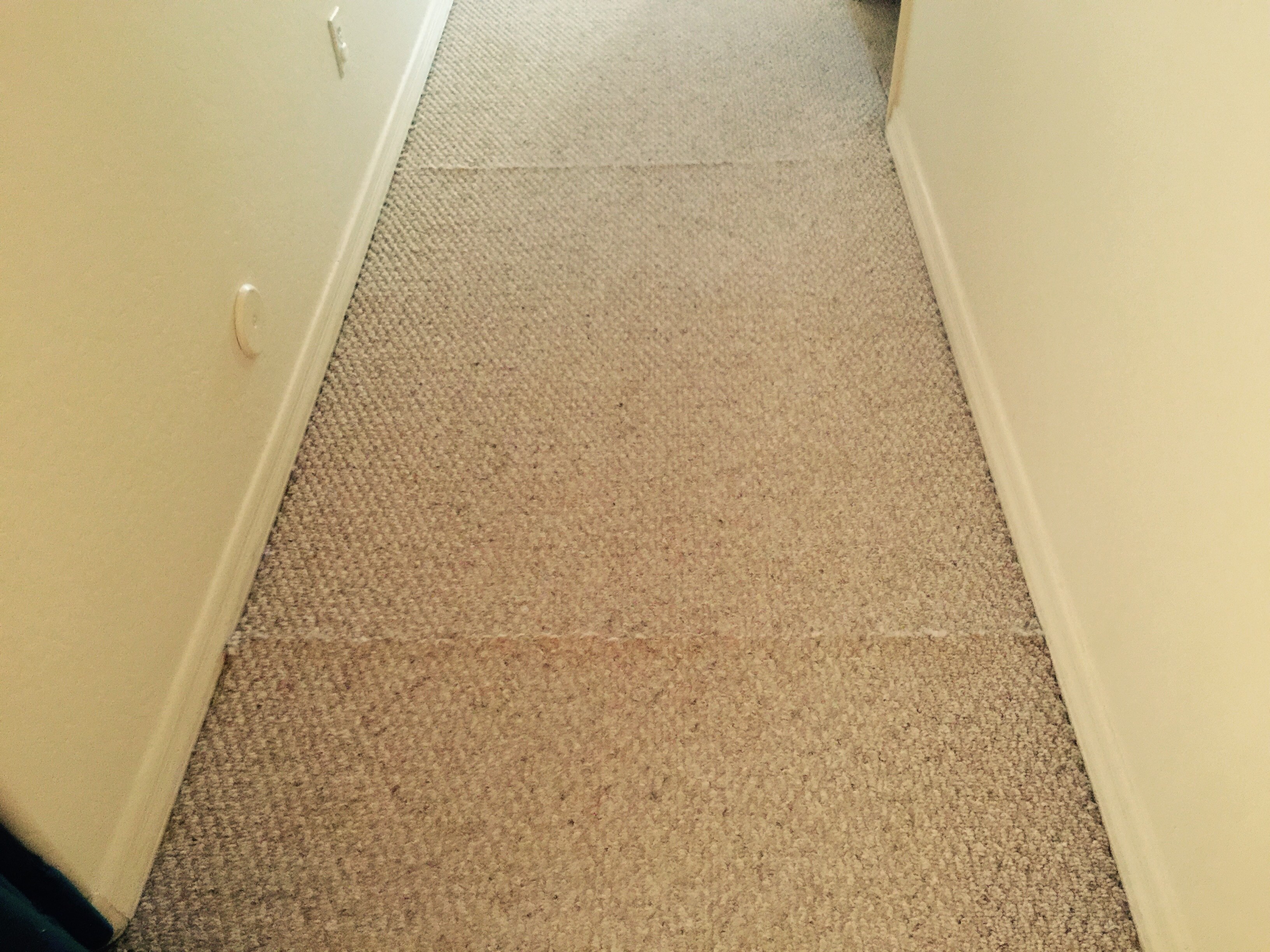 carpet repair company