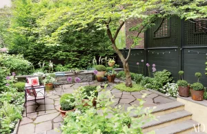How To Maintain A Beautiful Landscape In Your Home Garden?